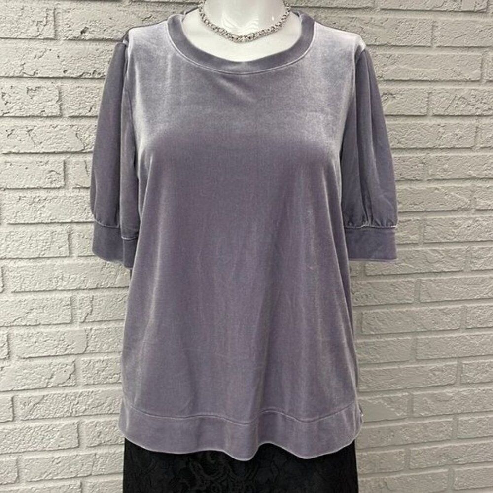 Ann Taylor Women Gray Short Sleeve Velour Top Size M